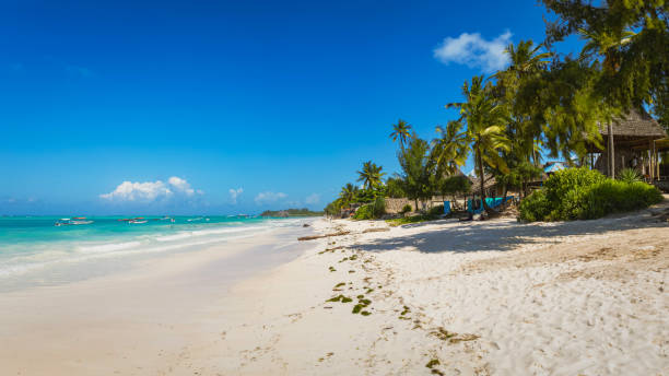 Beautiful tropical beach in Zanzibar island paradise